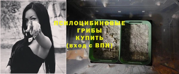 не бодяженный Алзамай