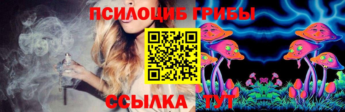 Лобня  купить  сайты  Вход с VPN  Псилоцибиновые грибы MAGIC MUSHROOMS  Псилоцибиновые грибы Cubensis 